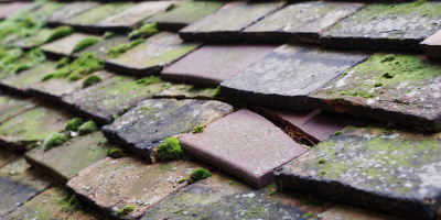 Nantycaws roof repair costs